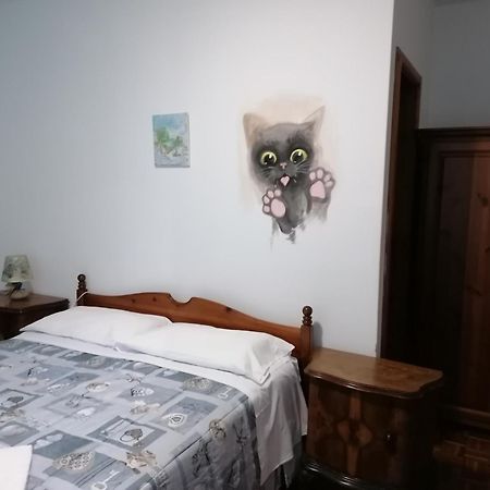 Albergo Alle Alpi Comeglians エクステリア 写真